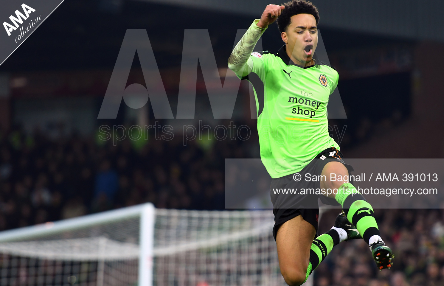30 September 2016 -  Premier League - Everton v Crystal Palace - Maarten Stekelenburg of Everton punches the ball clear during the Premier League match between Everton and Crystal Palace © James Baylis / AMA 373058