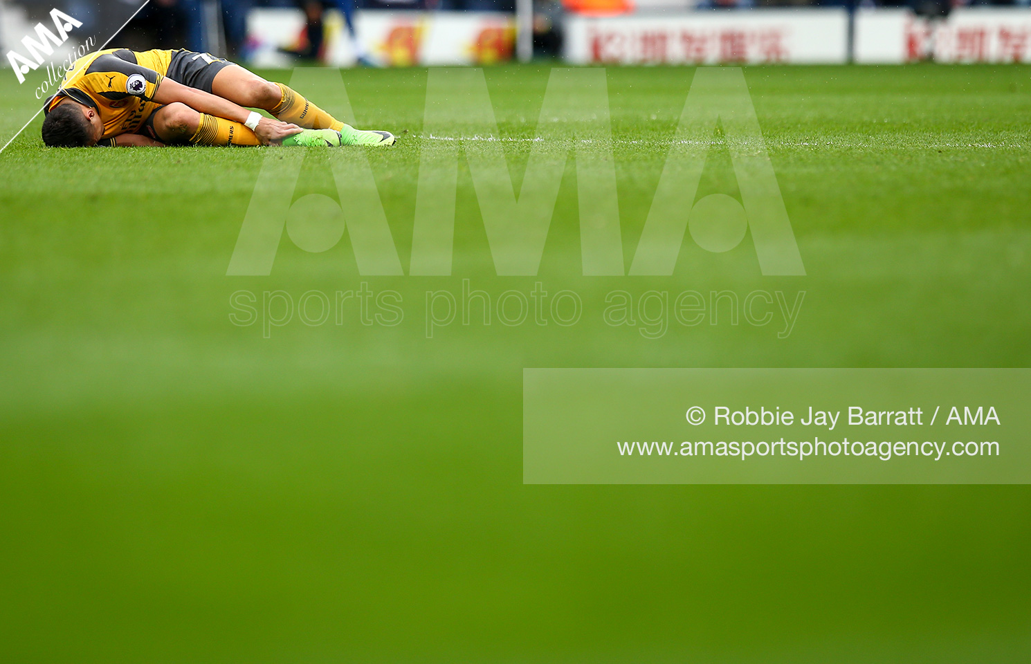 28 September 2016 - UEFA Champions League Group A - Arsenal v FC Basel - Mesut Ozil of Arsenal © Catherine Ivill /  AMA 37267