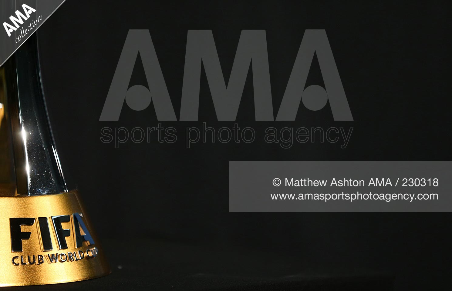 12 December 2014 - FIFA Club World Cup Trophy