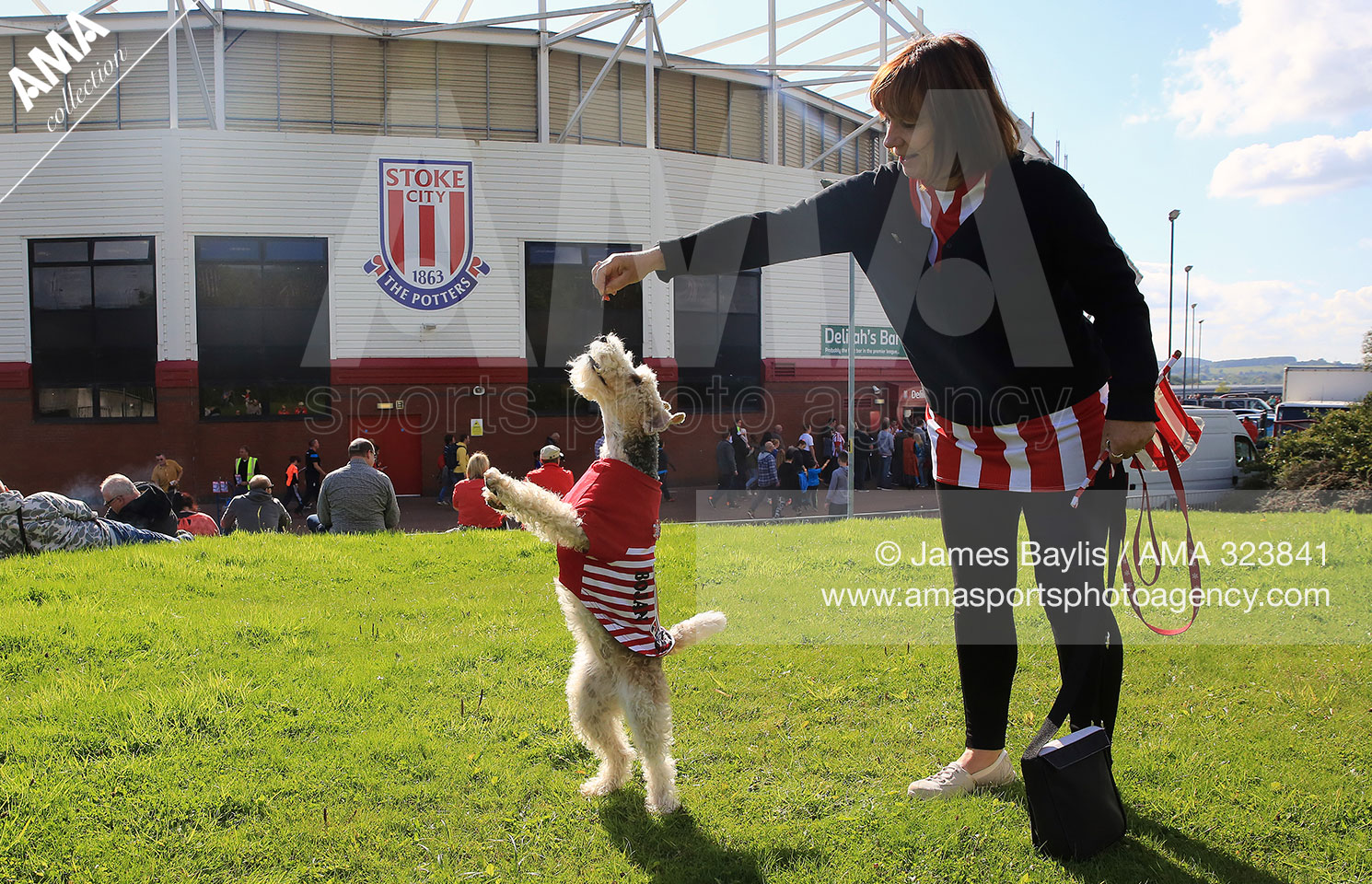 A fan of Stoke City with her dog, a Fox Terrior called Tammy dressed in the red and white colours the team