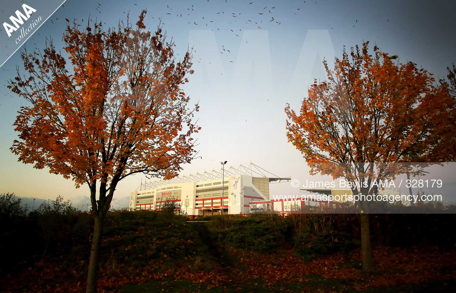 Barclays Premier League - Stoke City v Watford - The Britannia Stadium home ground of Stoke City 
