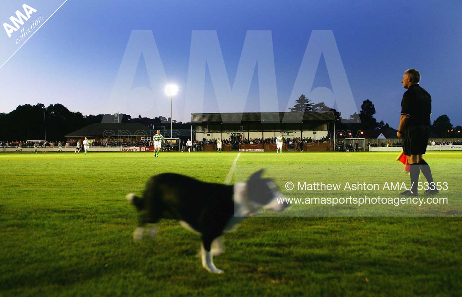 Welsh Premier League Welshpool Town v TNS Maes Y Dre Recreation Ground - home of Welshpool Town - a dog runs onto the pitch during the game