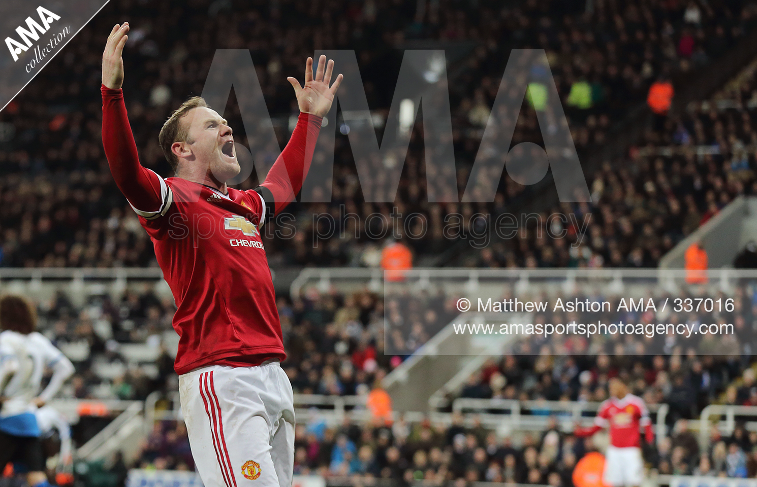 Wayne Rooney - Matthew Ashton AMA