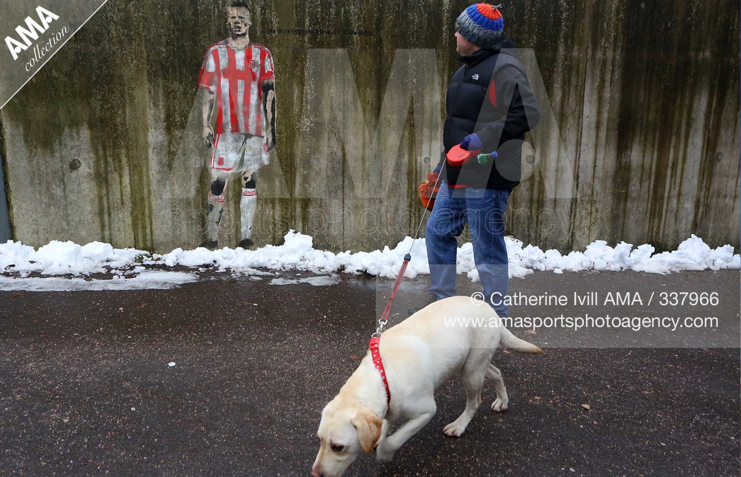 CATHERINE IVILL STOKE CITY ART