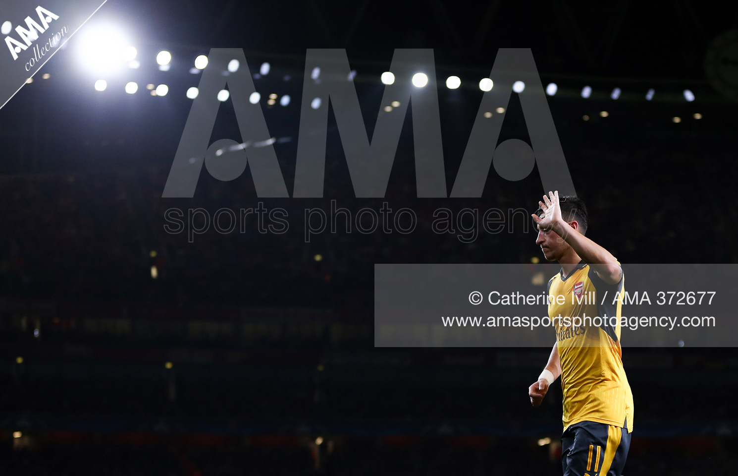 28 September 2016 - UEFA Champions League Group A - Arsenal v FC Basel - Mesut Ozil of Arsenal © Catherine Ivill /  AMA 37267