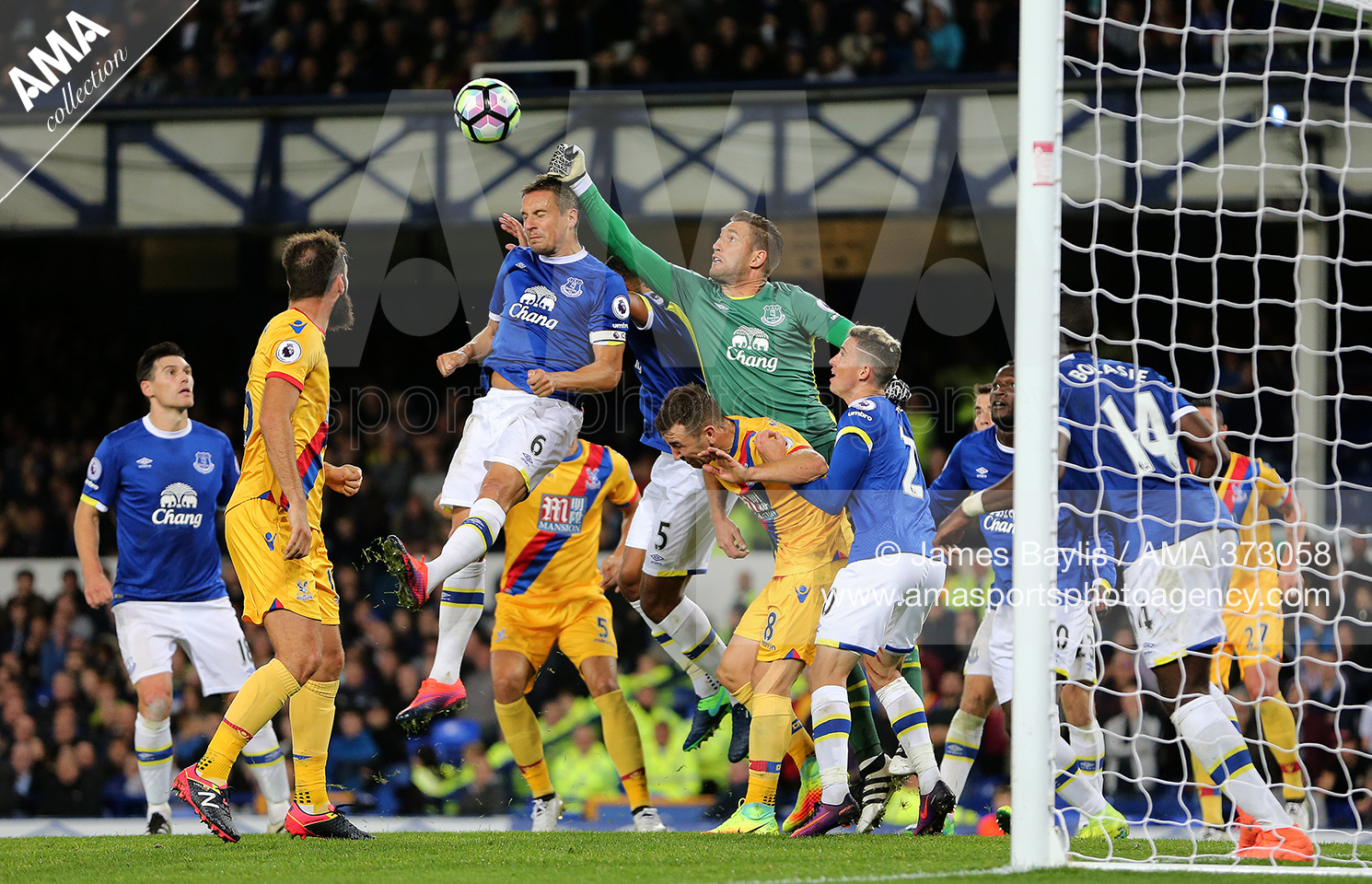 30 September 2016 -  Premier League - Everton v Crystal Palace - Maarten Stekelenburg of Everton punches the ball clear during the Premier League match between Everton and Crystal Palace © James Baylis / AMA 373058